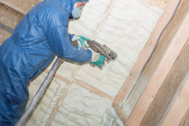 Professional Insulation in Sheldon, IL