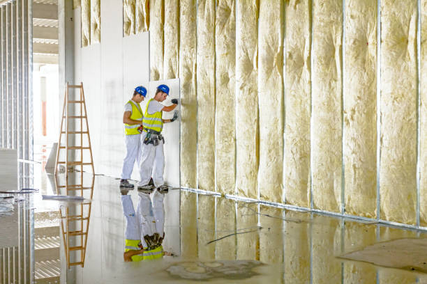 Best Batt and Roll Insulation  in Sheldon, IL